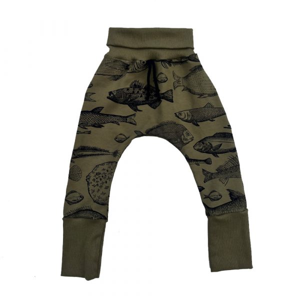 Sarouel évolutif – Study fish