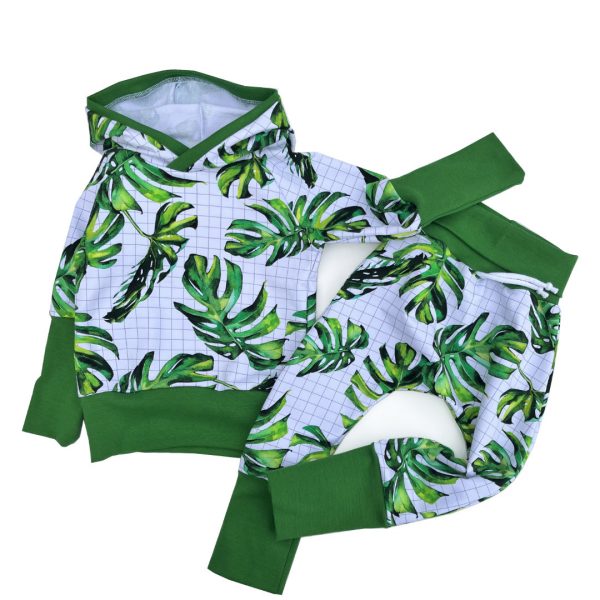 Sweat évolutif – Monstera – T2