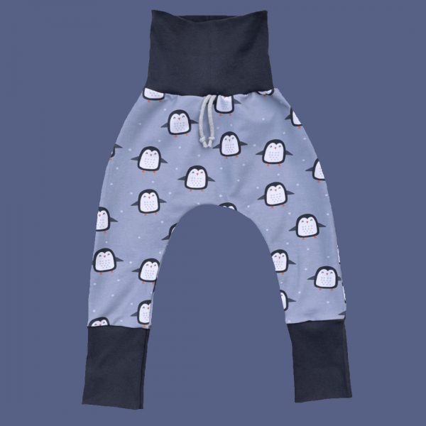 Sarouel évolutif – Banquise