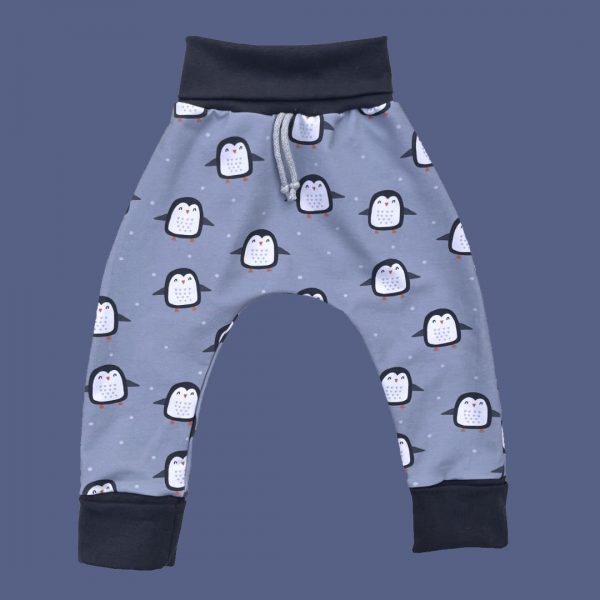 Sarouel évolutif – Banquise