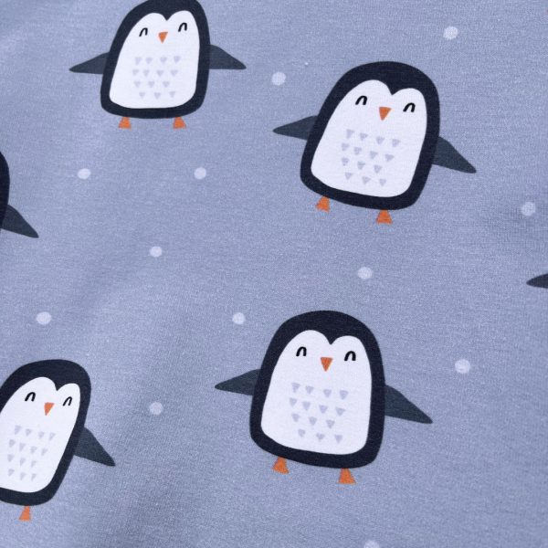 Sweat évolutif – Banquise